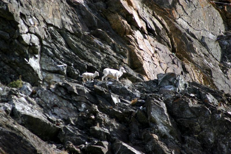 070404 Hope Hatcher Montana Creek (10055)